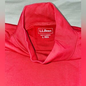 L.L Bean Turtleneck Top